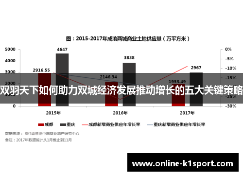 双羽天下如何助力双城经济发展推动增长的五大关键策略